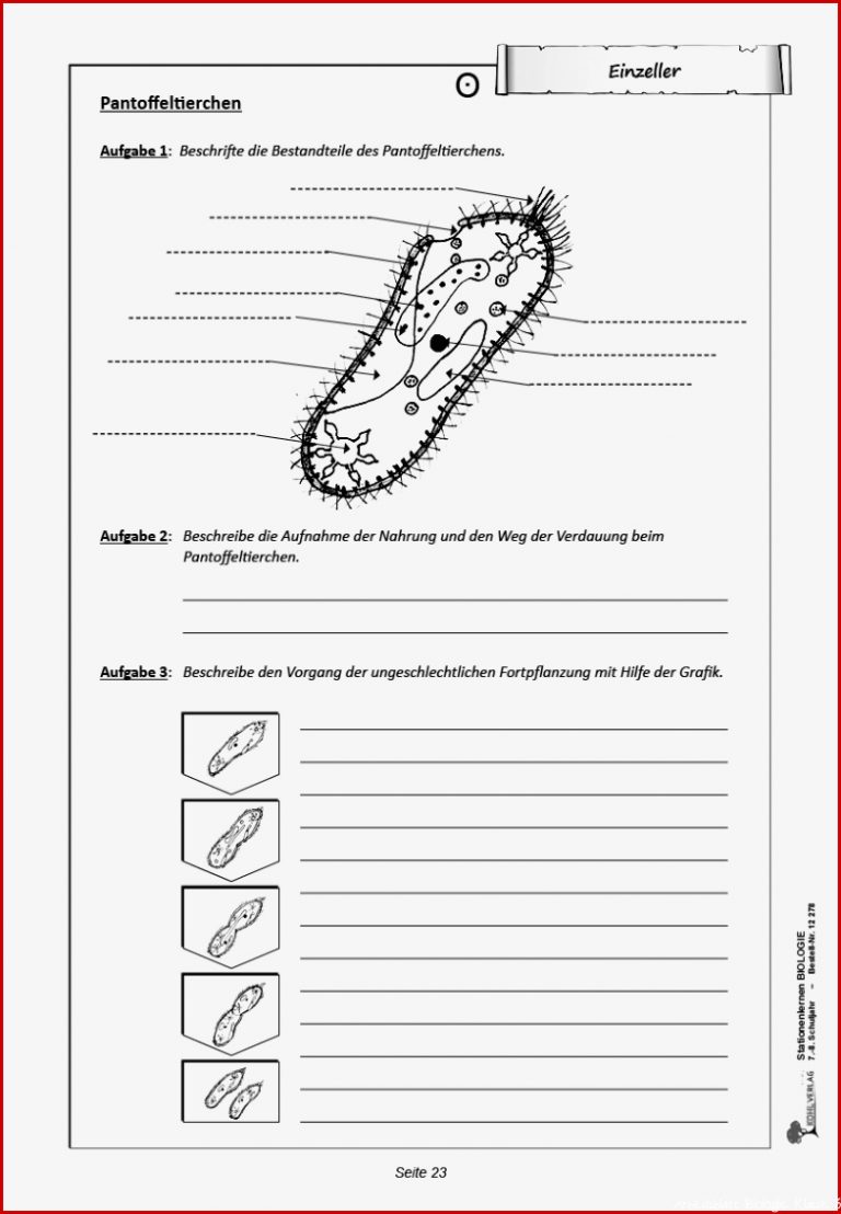 Stationenlernen Biologie 7/8