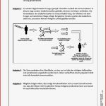 Stationenlernen Biologie 7/8