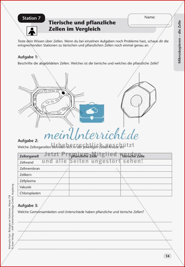 Stationsarbeit zum Thema 