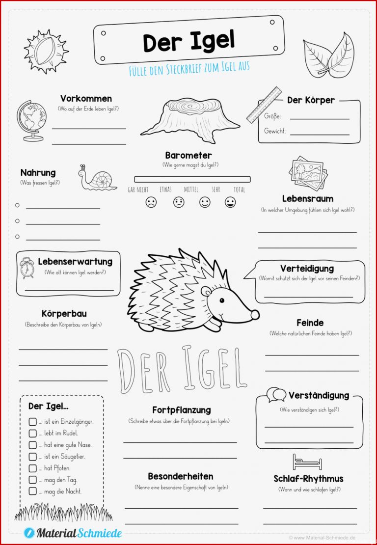 Steckbrief Igel – Unterrichtsmaterial In Den Fächern