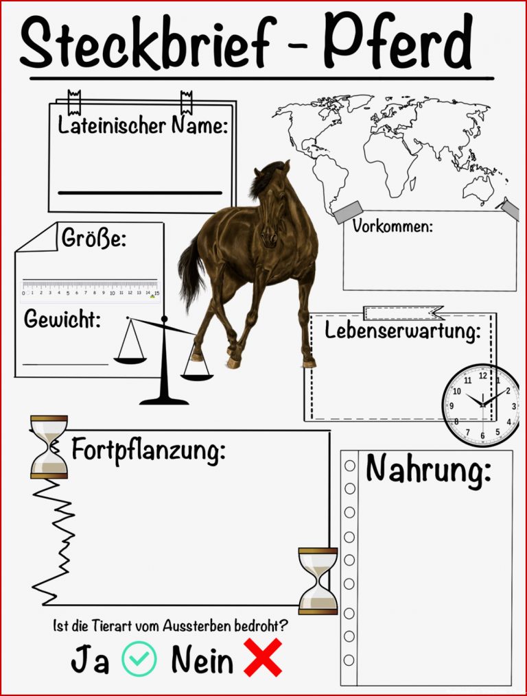 Steckbrief Pferd – Unterrichtsmaterial im Fach Biologie