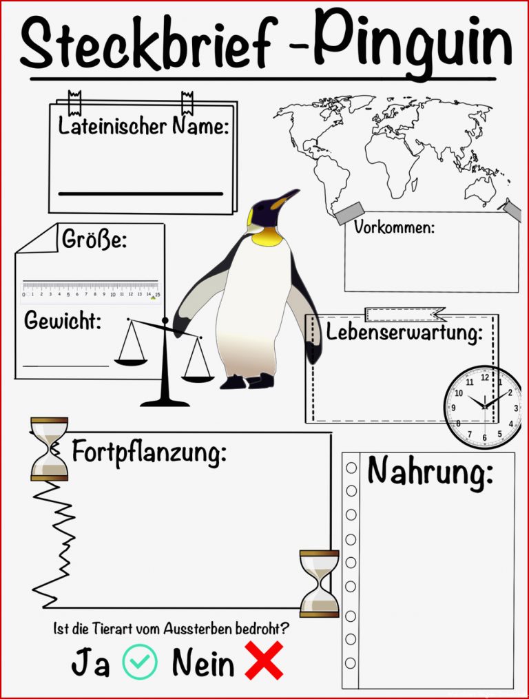 Steckbrief Pinguin – Unterrichtsmaterial im Fach