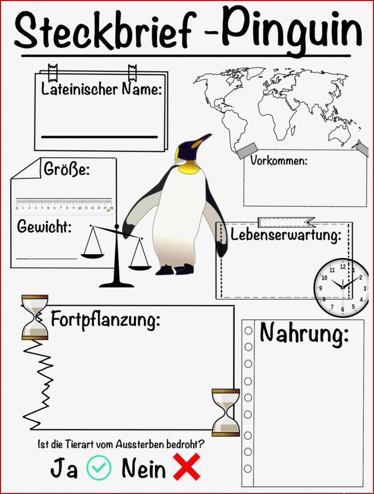 Steckbrief Pinguin – Unterrichtsmaterial Im Fach