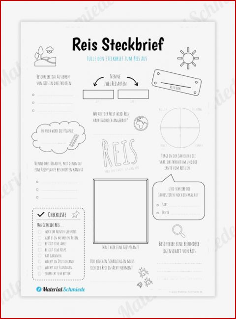 Steckbrief Reis