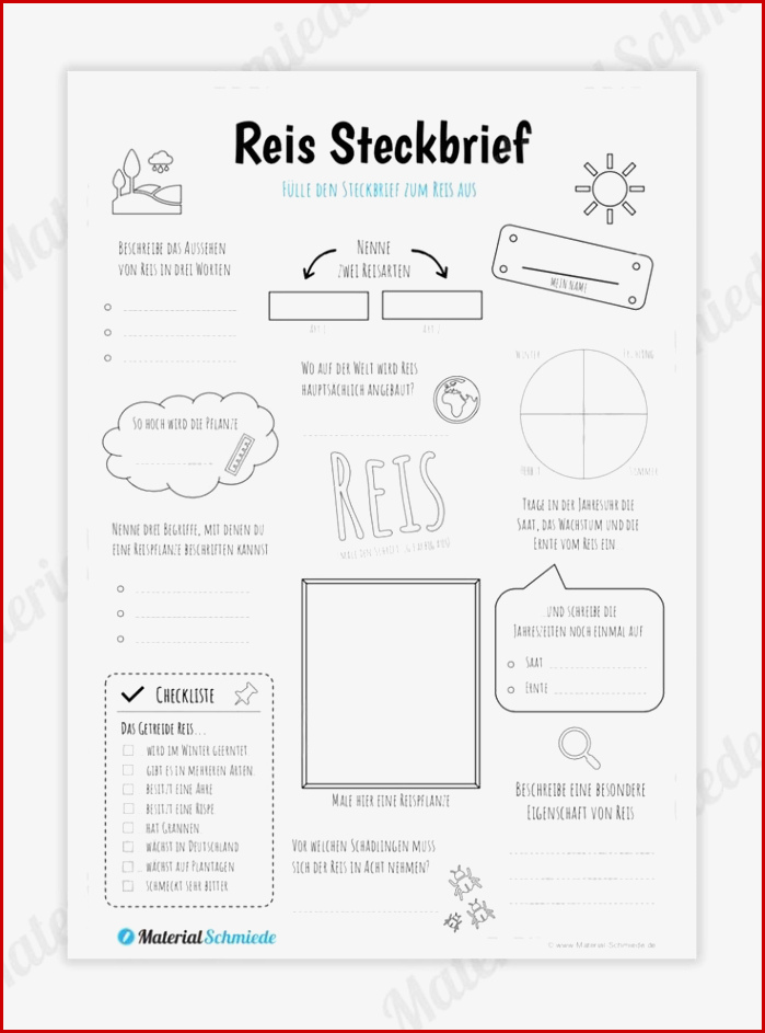 Steckbrief Reis