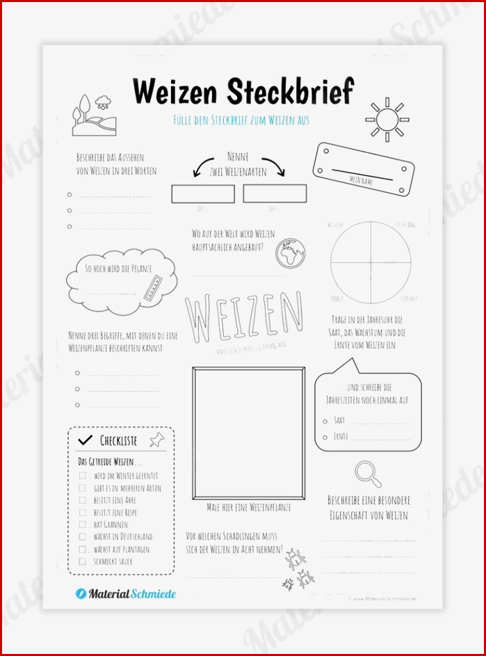 Steckbrief Weizen