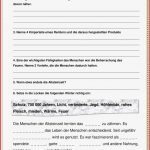 Steinzeit Arbeitsblätter 5 Klasse Worksheets