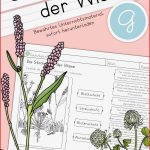 Stockwerke Der Wiese Grundschule