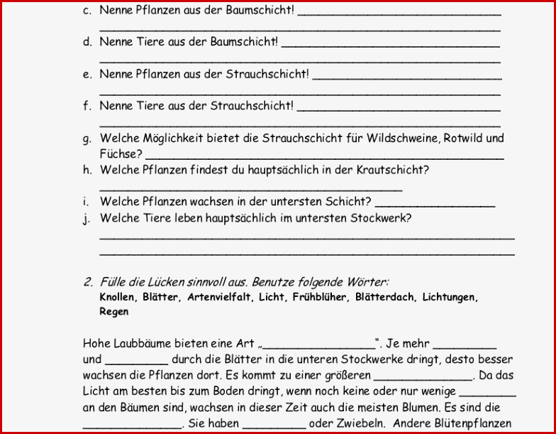 Stockwerke Des Waldes Arbeitsblatt Pdf James Sage Schule