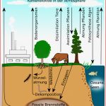 Stoffkreisläufe Ökologie