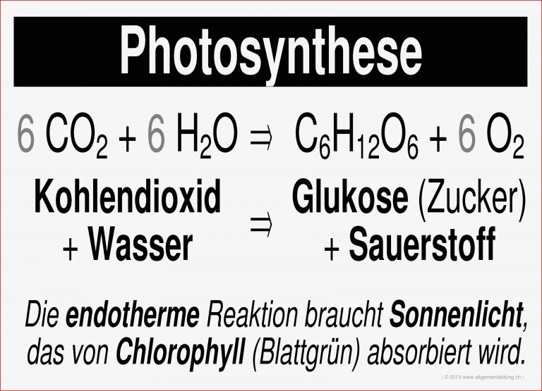 Stoffkreislauf synthese