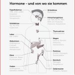 Stress Abbauen Was Hilft Gegen Stress