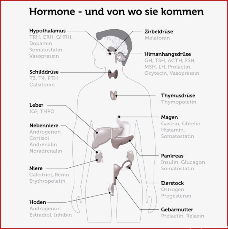 Stress Abbauen Was Hilft Gegen Stress