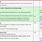 Stunde 6 Bau Des Auges Und Funktion Der Bestandteile