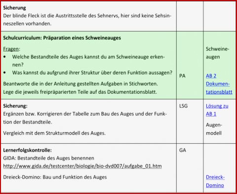 Stunde 6 Bau Des Auges Und Funktion Der Bestandteile