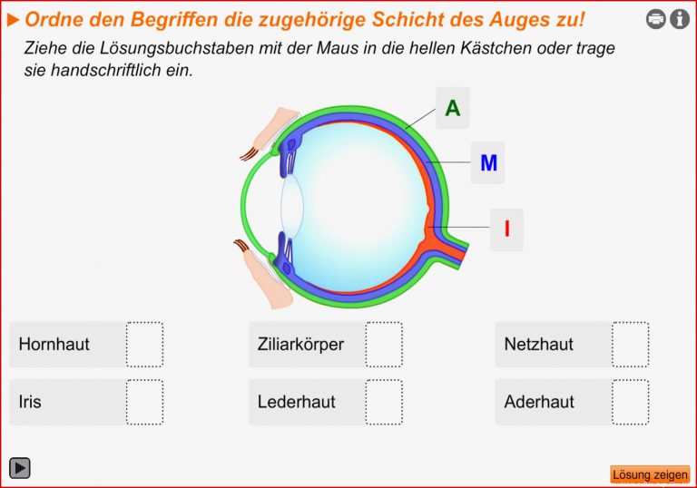 Suchergebnisse