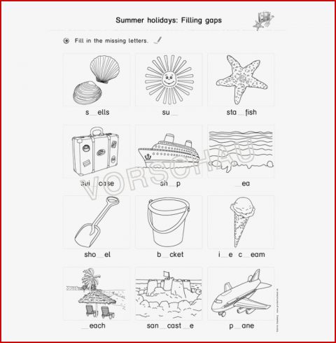 Summer Holidays sommer