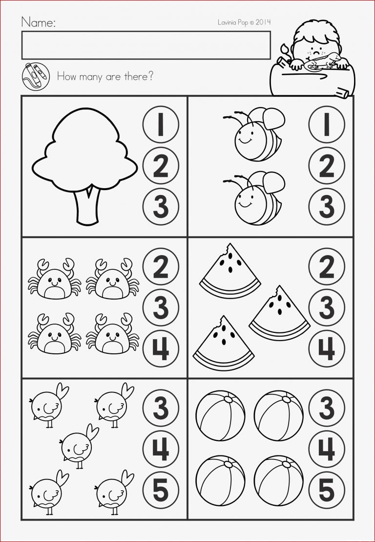 Summer Review Kindergarten Math & Literacy Worksheets