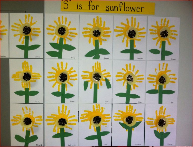 Sunflower activity for the letter S Students paint the