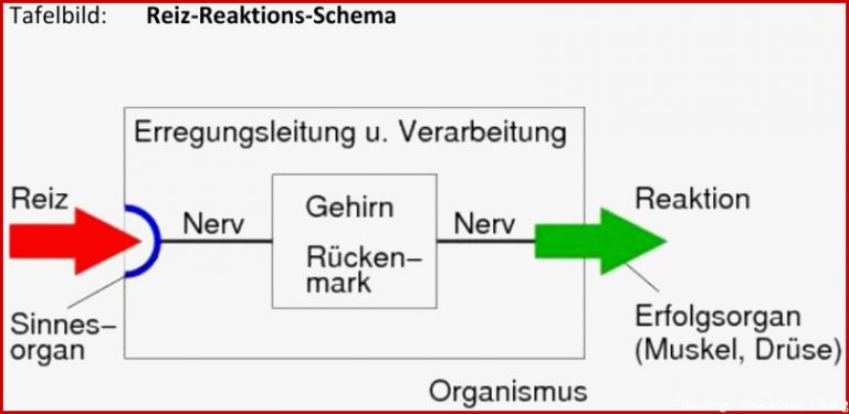 Tafelbild