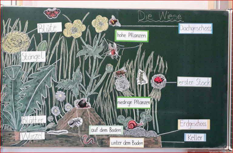 Tafelbild Zum thema Wiese Kunstunterricht Kunstunterricht