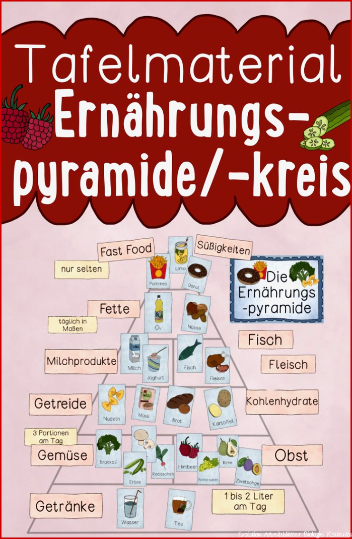 Tafelmaterial Ernährungspyramide kreis mit über 50