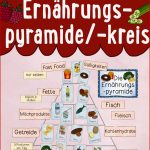 Tafelmaterial Ernährungspyramide Kreis Mit über 50