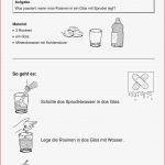 Thema Wasser Grundschule Kostenloses Material