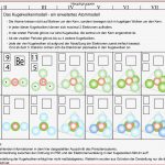 Themenfeld 2 Naturwissenschaften Bildungsserver