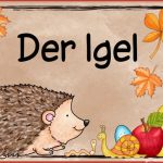 Themenplakat "der Igel"