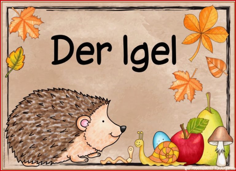 Themenplakat "der Igel"