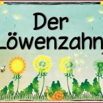 Themenplakat "der Löwenzahn"