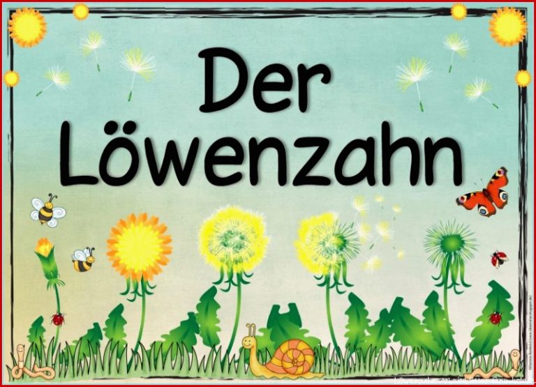 Themenplakat "der Löwenzahn"