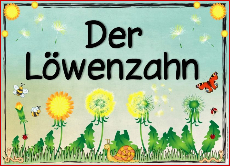 Themenplakat "der Löwenzahn"
