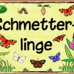 Themenplakat "schmetterlinge"