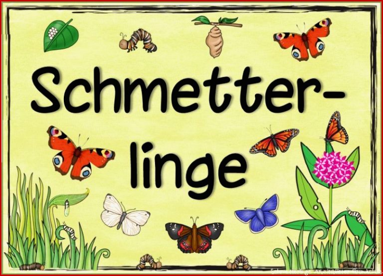 Themenplakat "schmetterlinge"