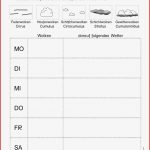 Thermometer Arbeitsblatt Stephen Scheidt Schule