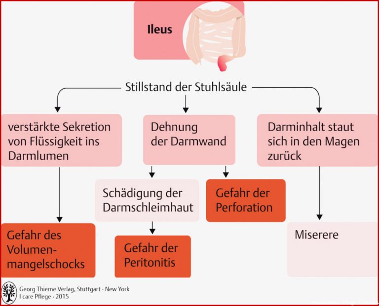 Thieme I Care Pflege Arbeitsblätter Lösungen 59 Blut Und