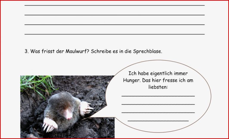 Tierbeschreibung Arbeitsblätter Klasse 5 David Hoff Schule