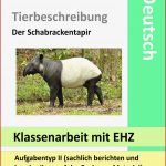 Tierbeschreibung Klasse 5 Arbeitsblätter Pdf