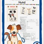 Tierbeschreibung Suchanzeige Hund – Unterrichtsmaterial Im
