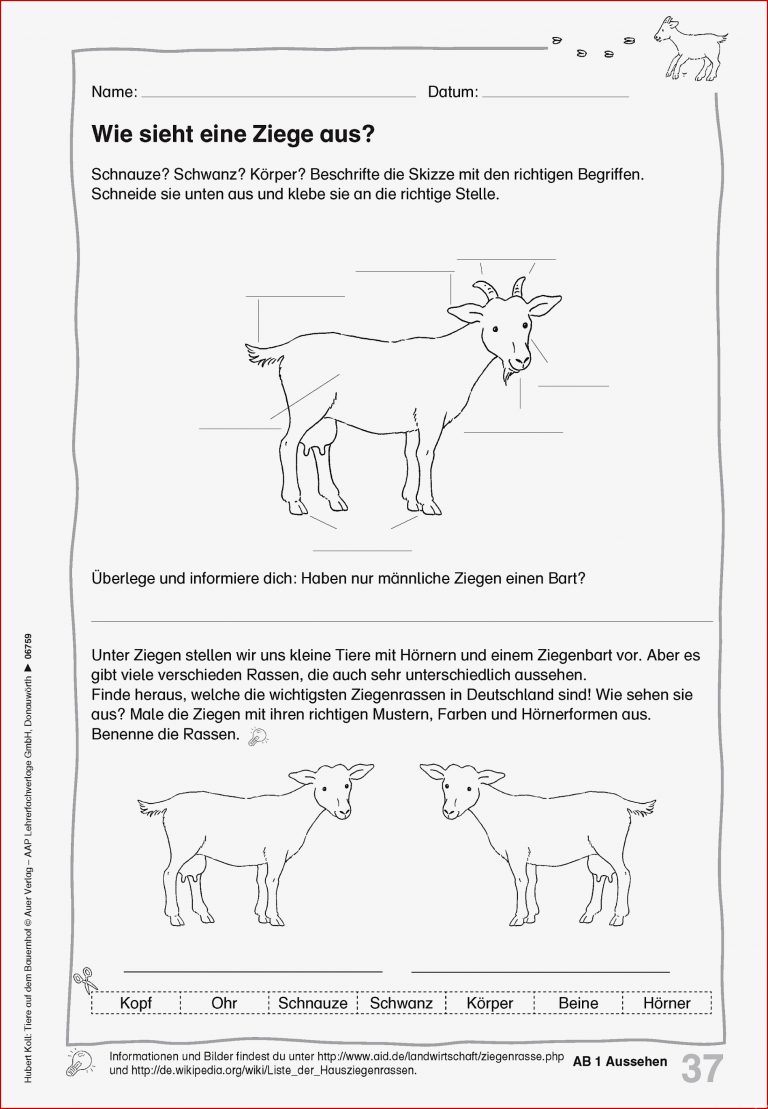 Tiere Auf Dem Bauernhof 1 4 Klasse Buch
