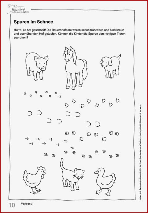 Tiere Auf Dem Bauernhof Für Die Kita Produktdetailbild 3