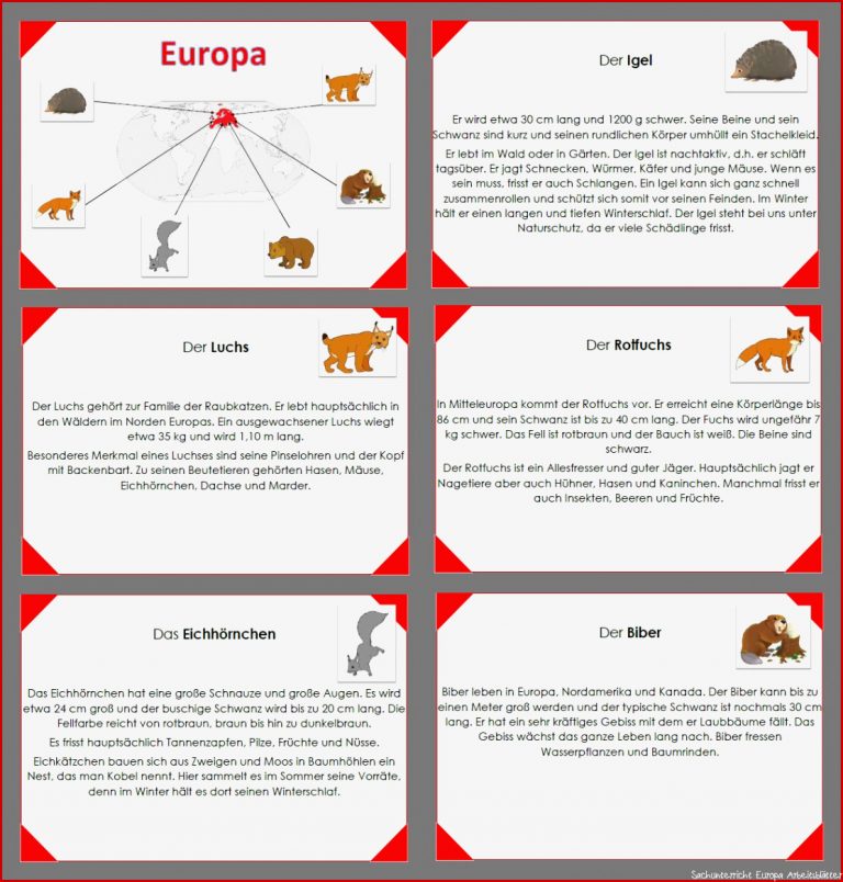 Tiere Der Welt Europa – Unterrichtsmaterial Im Fach