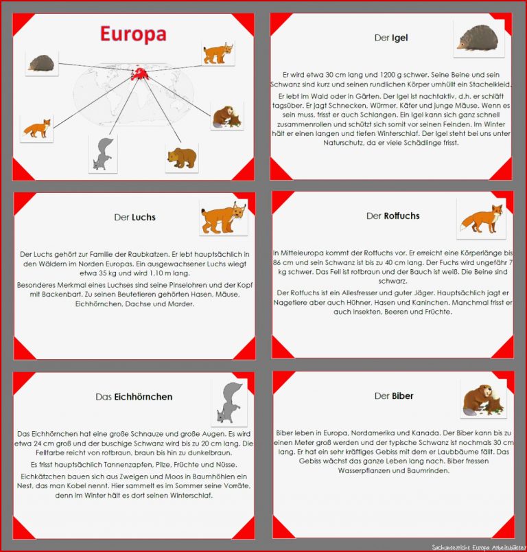 Tiere der Welt EUROPA – Unterrichtsmaterial im Fach