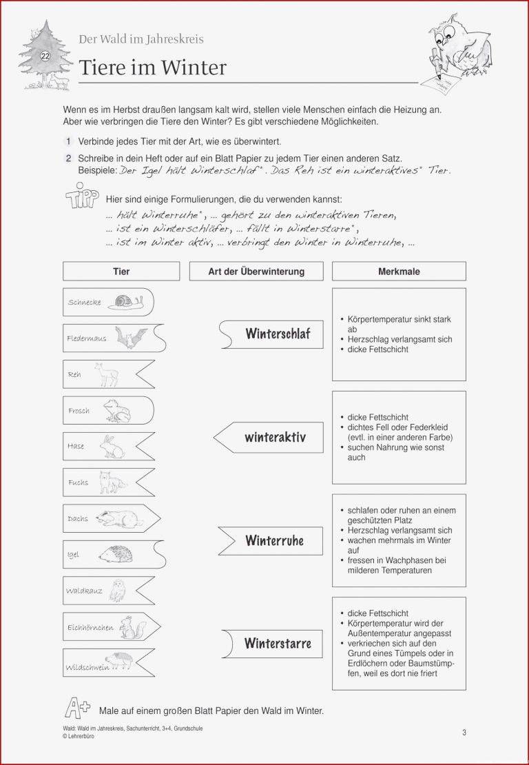 Tiere Im Wald Arbeitsblatt Grundschule Schön Schön 34