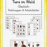 Tiere Im Wald Klettmappen Und Arbeitsblätter Für Den