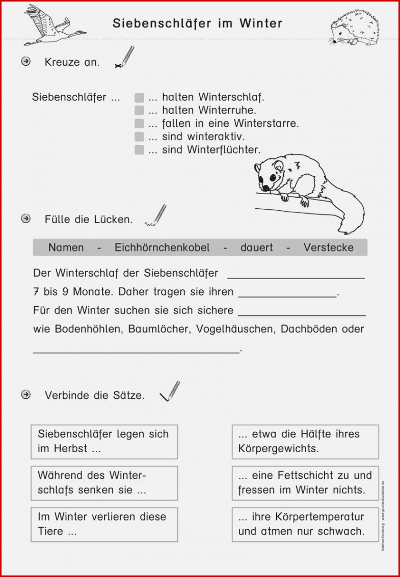 Tiere Im Winter Arbeitsblätter Kindergarten Worksheets