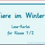 Tiere Im Winter Kartei Klasse 1 Pdf