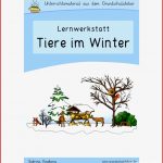 Tiere Im Winter Werkstatt Für Grundschule